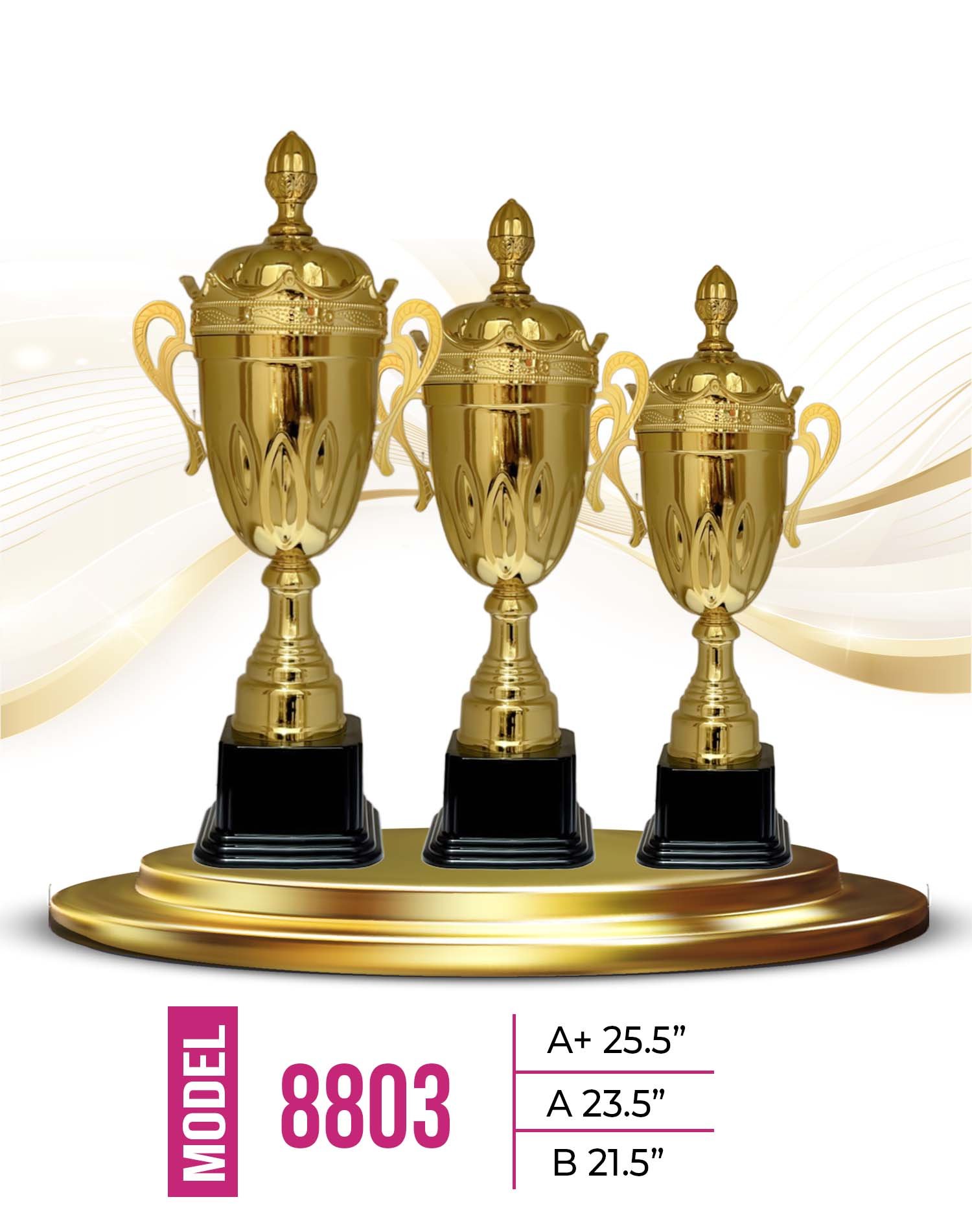 Price : A+ 3660 tk , A 3000 tk, B 2580 tk